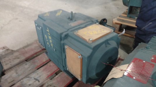 Reliance 10 HP 1750 RPM 219ATY DC Motors 77882