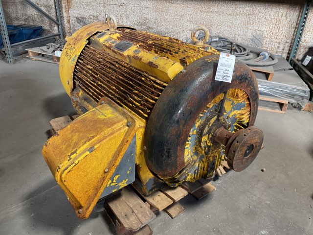 Teco 300 HP 3600 RPM 5009A Squirrel Cage Motors 85251