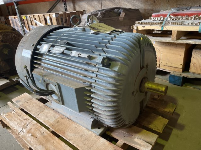 Reliance 200 HP 1200 RPM 447TS Squirrel Cage Motors 87621