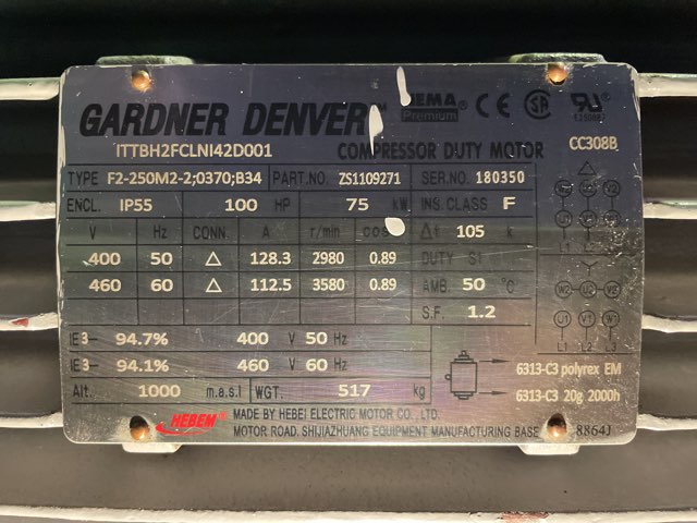 Hebei Electric 100 HP 3600 RPM 250MC Squirrel Cage Motors 90478