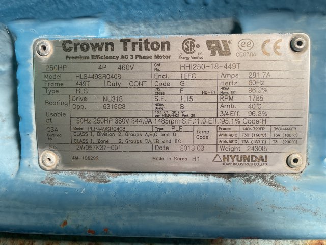 Hyundai 250 HP 1800 RPM 449T Squirrel Cage Motors 91938