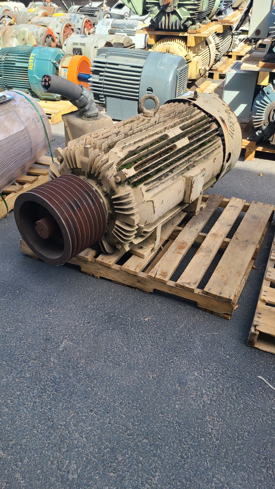 Tatung 300 HP 1800 RPM 449TZ Squirrel Cage Motors H0844