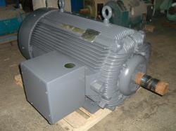 Reliance 250 HP 1800 RPM 5010Y Squirrel Cage Motors 62939