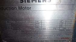 Siemens 900 HP 1800 RPM 5810US Squirrel Cage Motors 73025