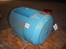 Reliance 75 HP 3600 RPM 365TS Squirrel Cage Motors 74721