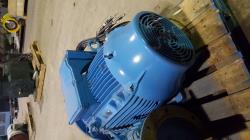 WEG 60 HP 1800 RPM 225S/MD Squirrel Cage Motors 77715