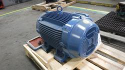 WEG 100 HP 1800 RPM 404/5TC Squirrel Cage Motors 81644