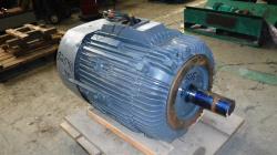 baldor reliance 125 hp 1200 rpm 445tc squirrel cage motors 82540