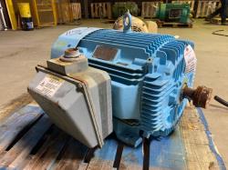 Hyundai 75 HP 3600 RPM 365TS Squirrel Cage Motors 85908