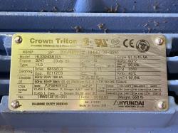 Hyundai 40 HP 3600 RPM 324T Squirrel Cage Motors 86453