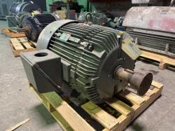 reliance 50 hp 900 rpm 404t squirrel cage motors 91707