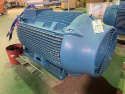 WEG 200 HP 1200 RPM 447/9T Squirrel Cage Motors 91821