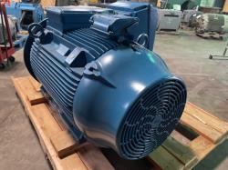 WEG 200 HP 1200 RPM 447/9T Squirrel Cage Motors 92036