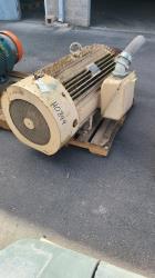 Tatung 300 HP 1800 RPM 449TZ Squirrel Cage Motors H0844